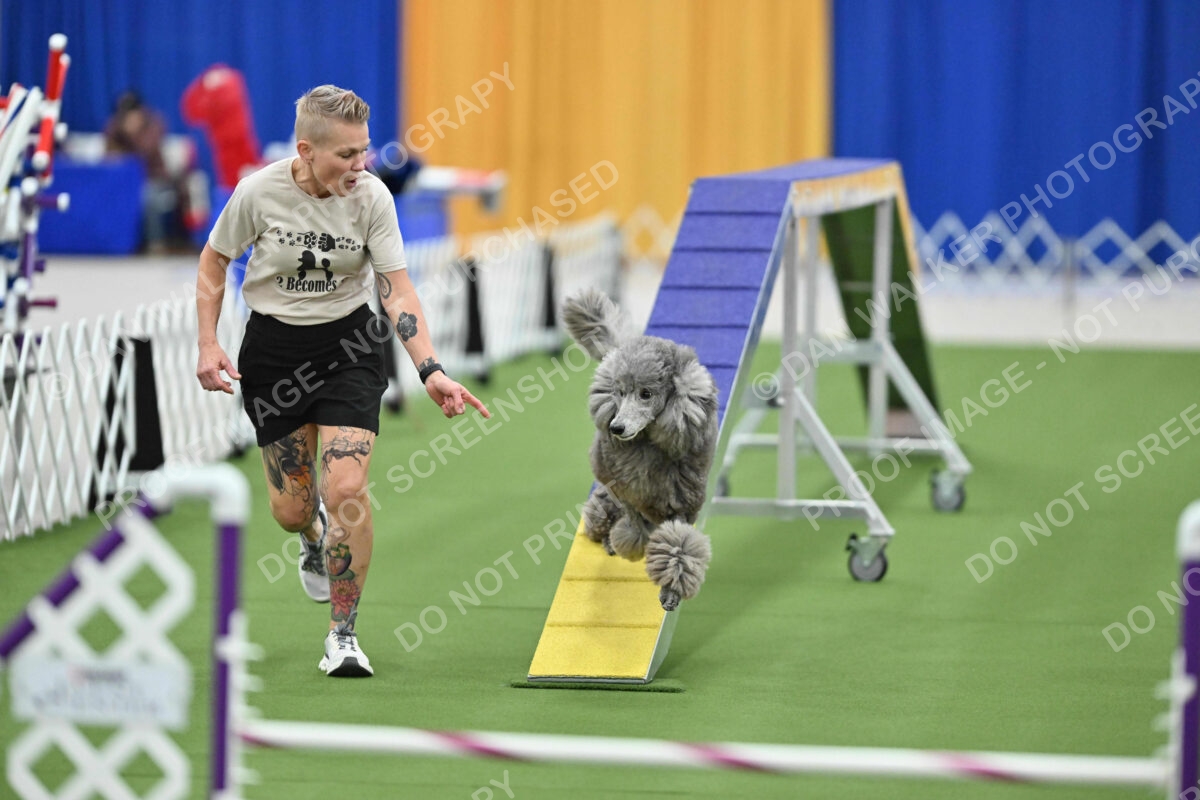 MAS-EX-STD-20-Inch_7279