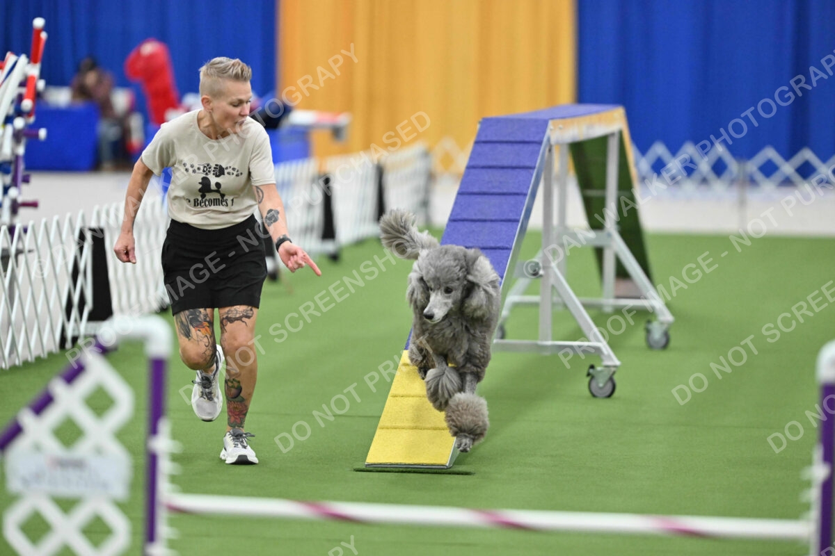 MAS-EX-STD-20-Inch_7280