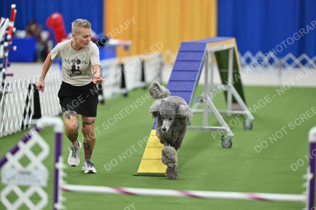 MAS-EX-STD-20-Inch_7281