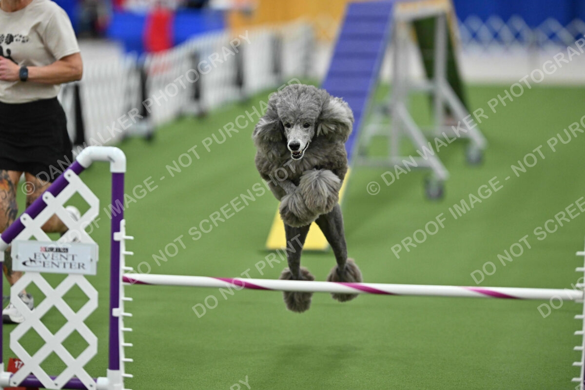 MAS-EX-STD-20-Inch_7286