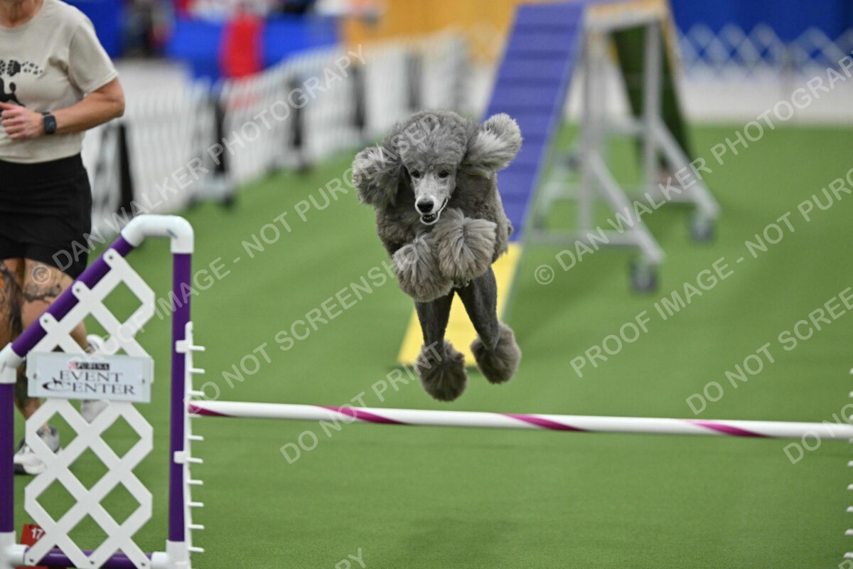 MAS-EX-STD-20-Inch_7287