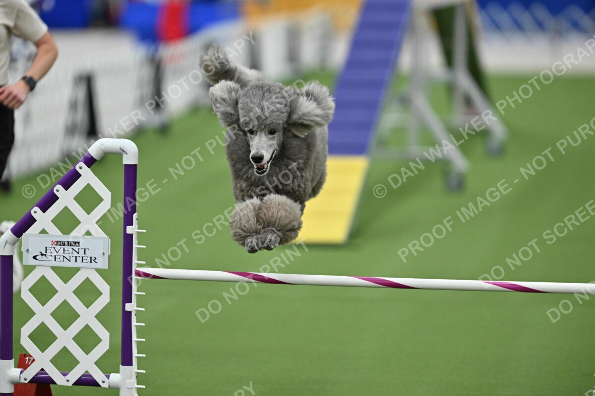 MAS-EX-STD-20-Inch_7291