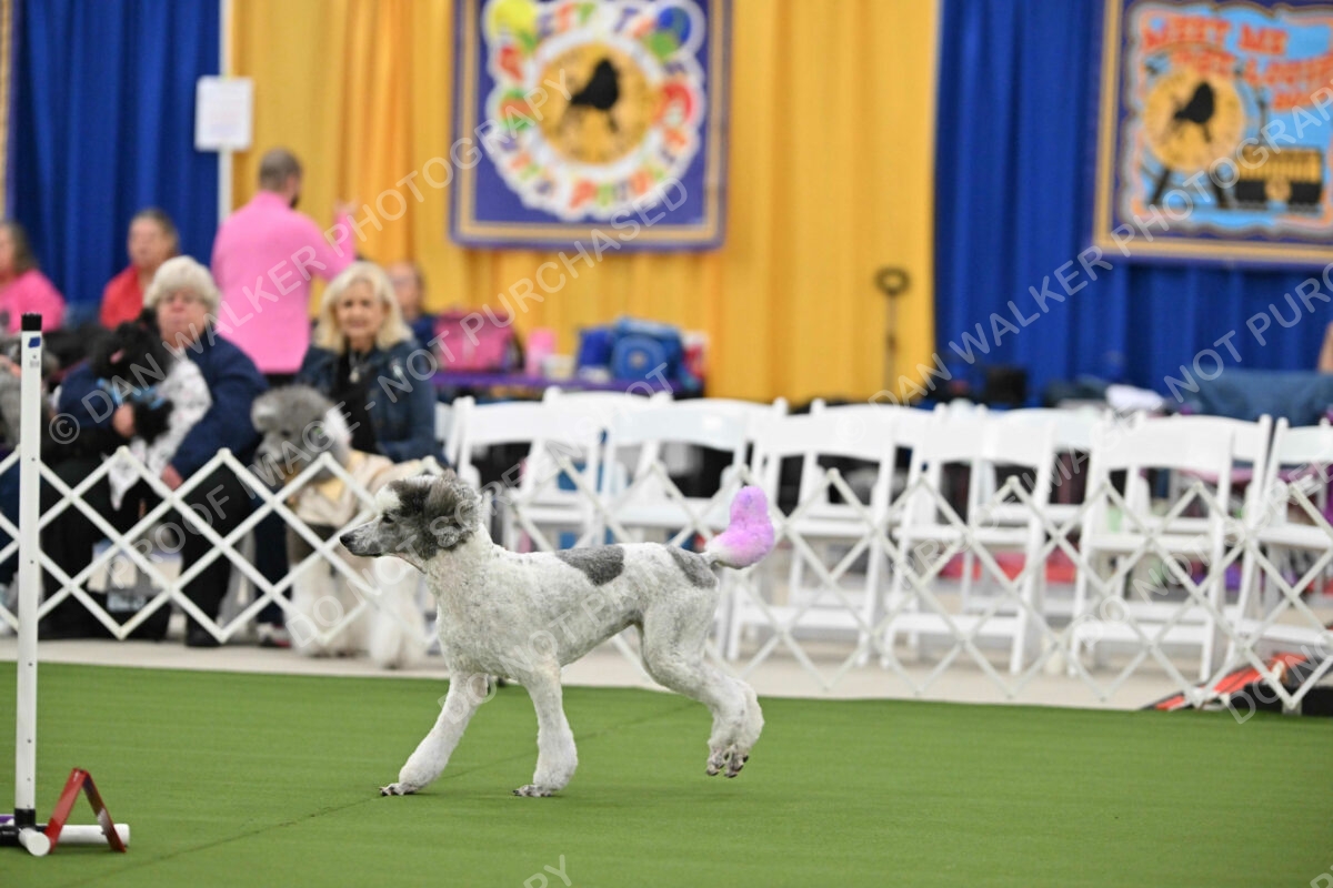 MAS-EX-STD-20-Inch_7292