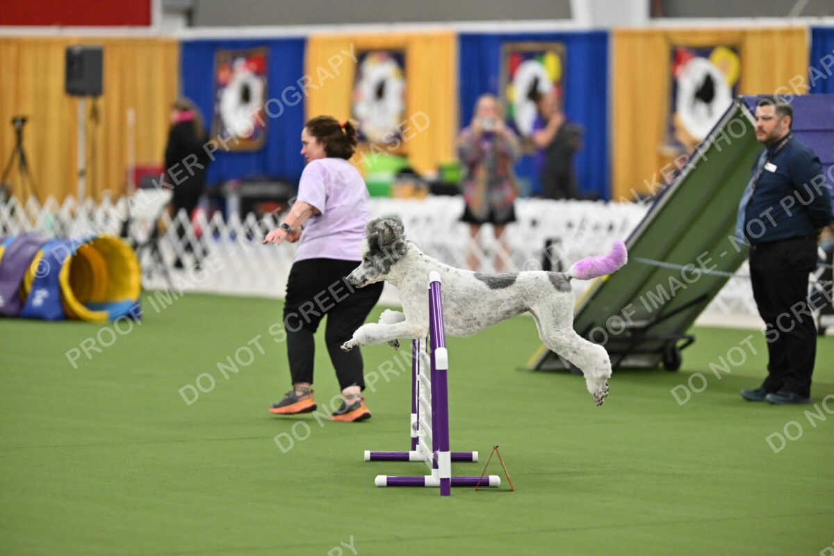 MAS-EX-STD-20-Inch_7305