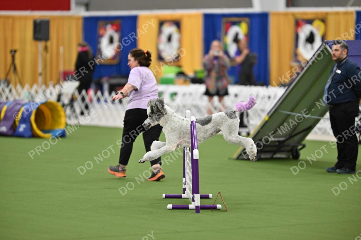 MAS-EX-STD-20-Inch_7306