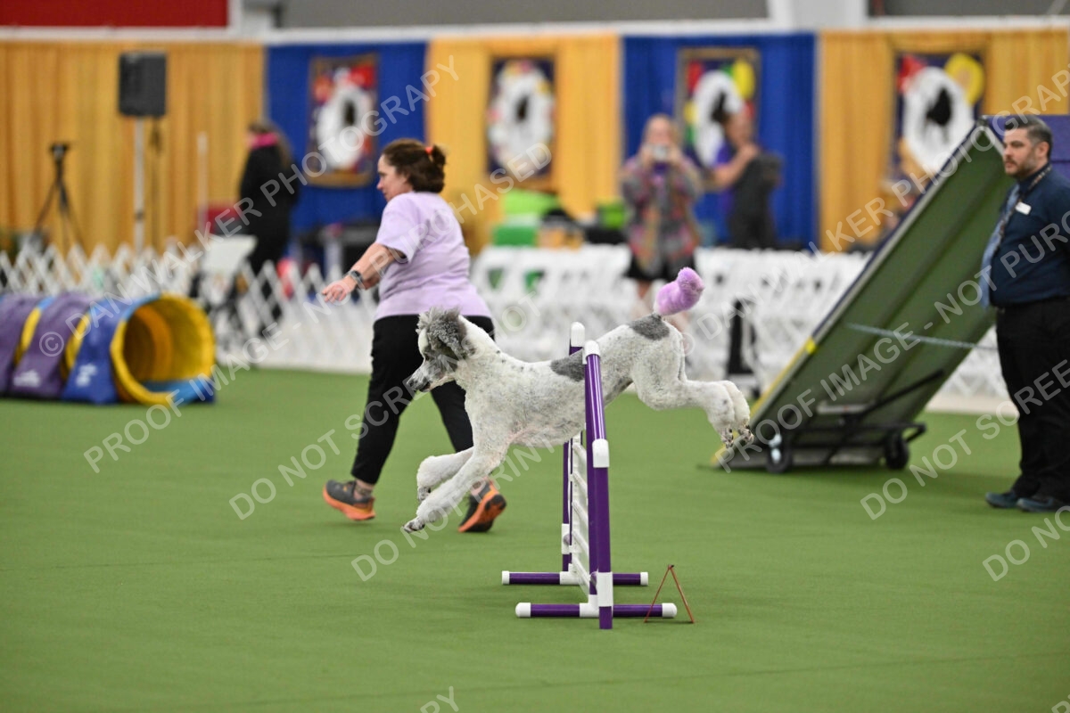 MAS-EX-STD-20-Inch_7307