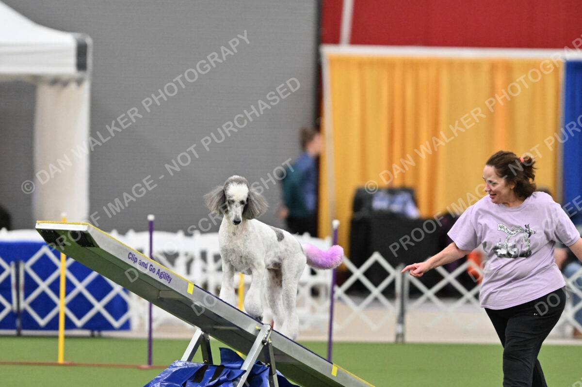 MAS-EX-STD-20-Inch_7311