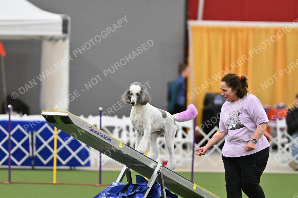 MAS-EX-STD-20-Inch_7315