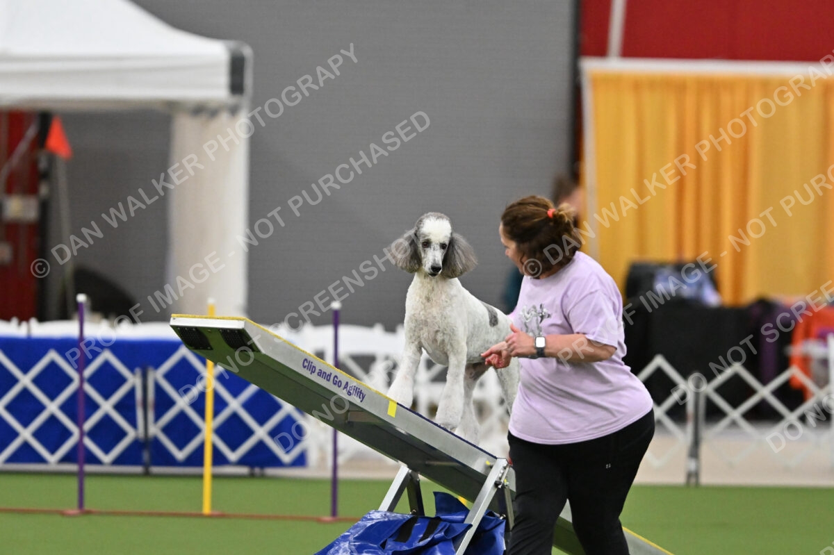 MAS-EX-STD-20-Inch_7319