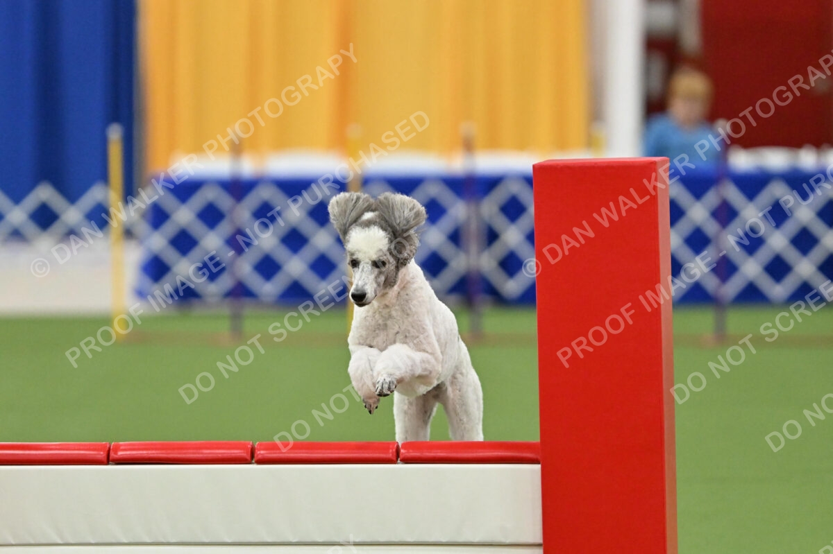 MAS-EX-STD-20-Inch_7322