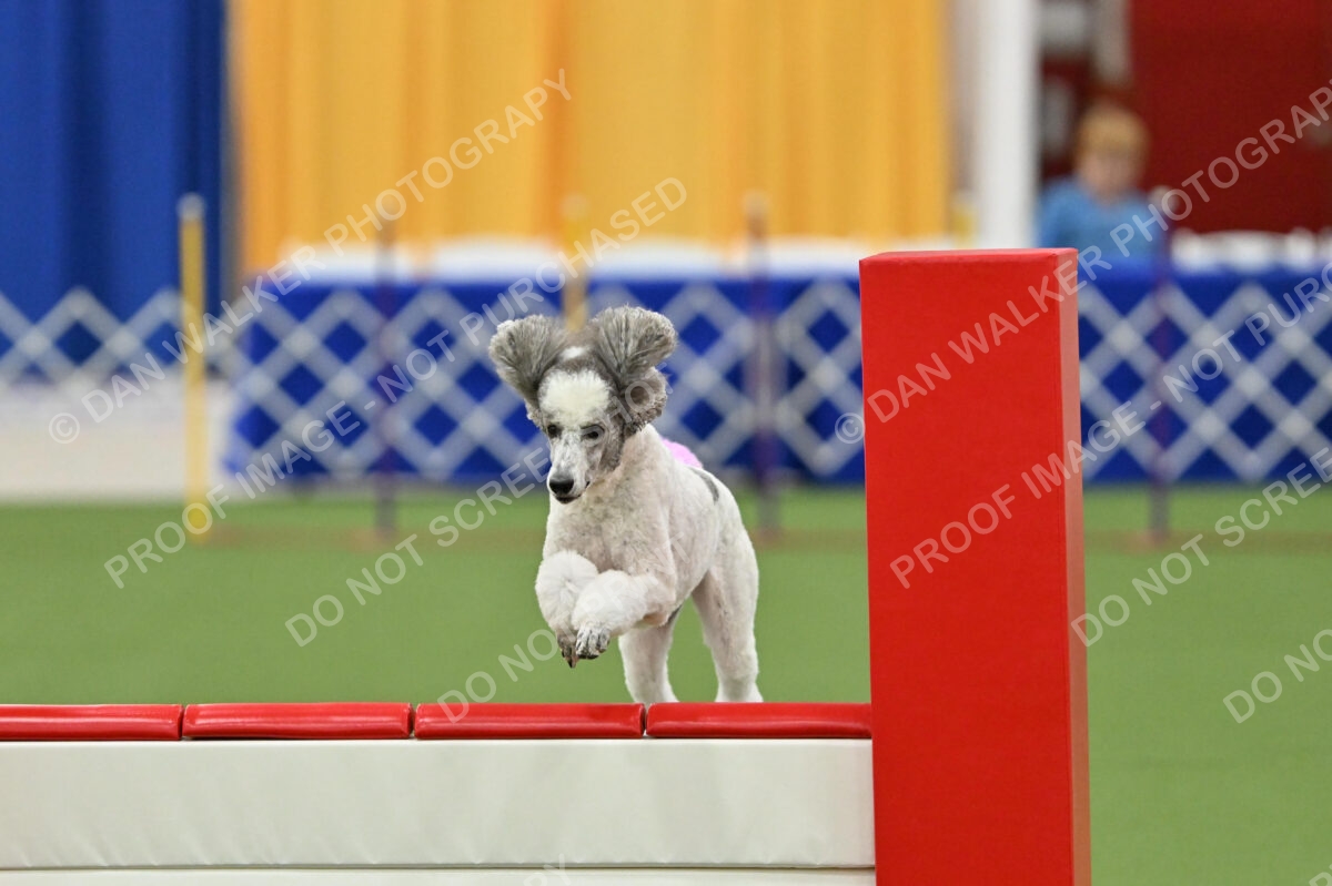 MAS-EX-STD-20-Inch_7323