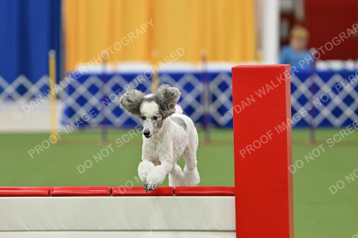 MAS-EX-STD-20-Inch_7324