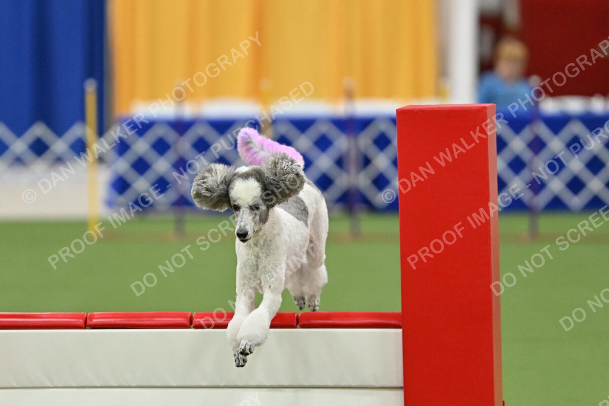 MAS-EX-STD-20-Inch_7325