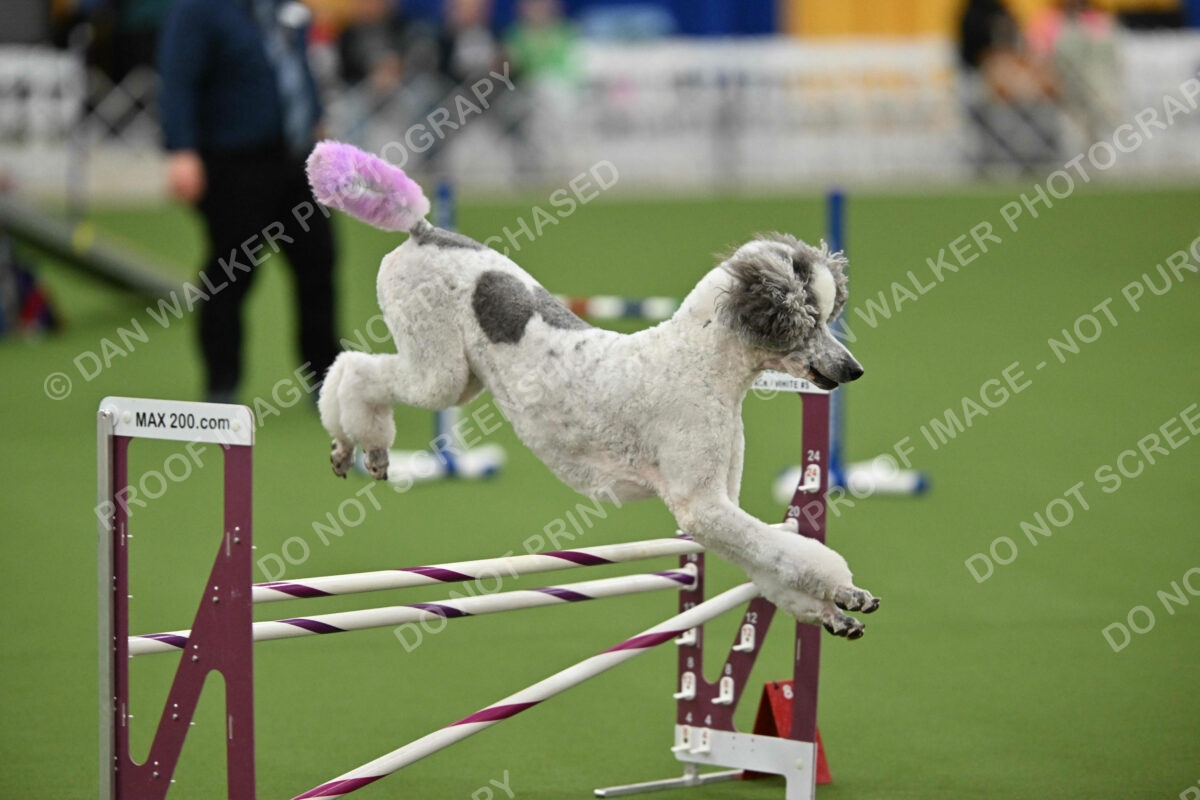 MAS-EX-STD-20-Inch_7333