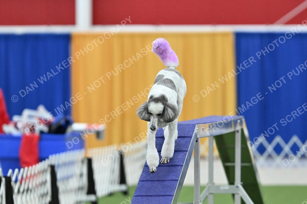 MAS-EX-STD-20-Inch_7341