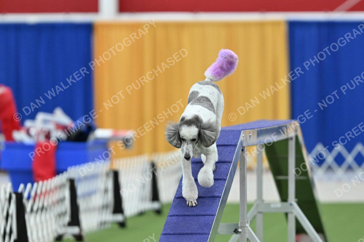 MAS-EX-STD-20-Inch_7343