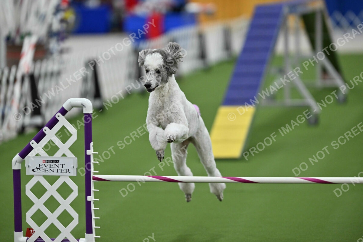 MAS-EX-STD-20-Inch_7354