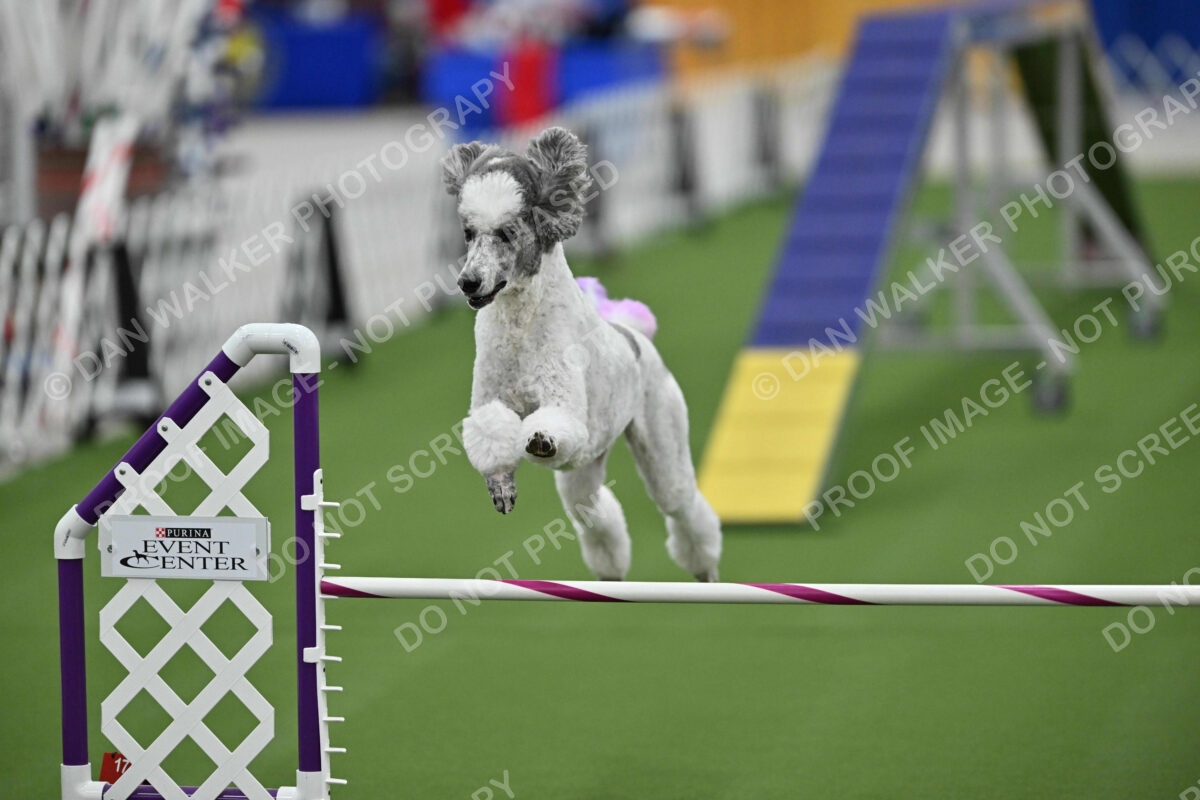 MAS-EX-STD-20-Inch_7355