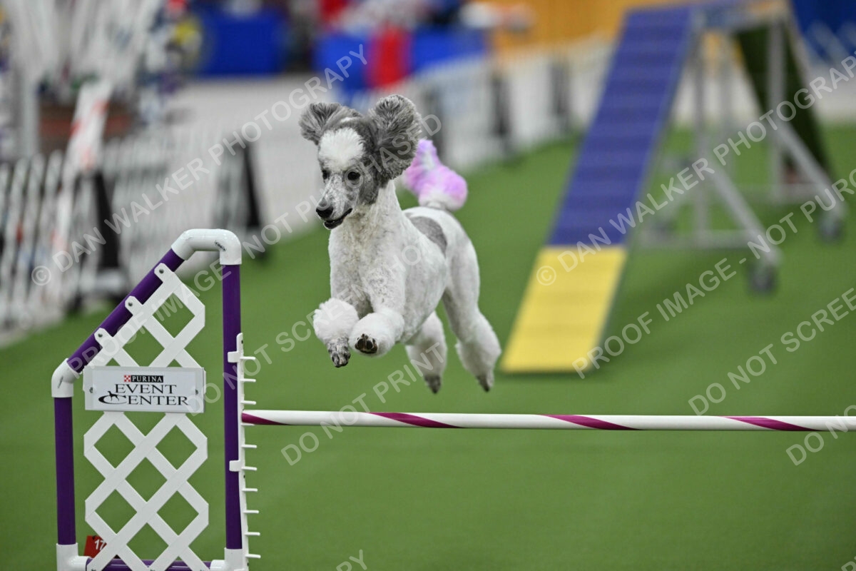 MAS-EX-STD-20-Inch_7356