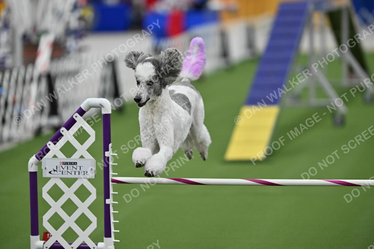 MAS-EX-STD-20-Inch_7357