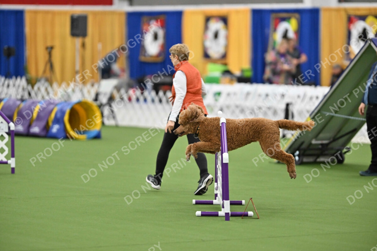 MAS-EX-STD-20-Inch_7361