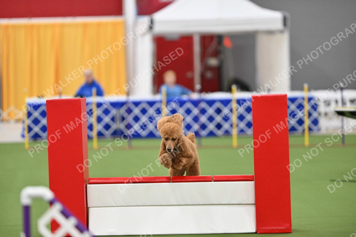 MAS-EX-STD-20-Inch_7376