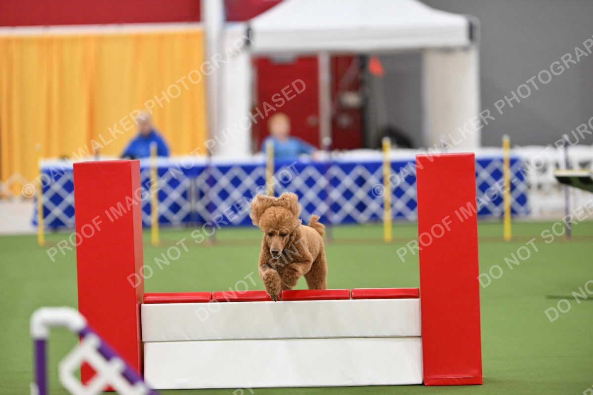 MAS-EX-STD-20-Inch_7377