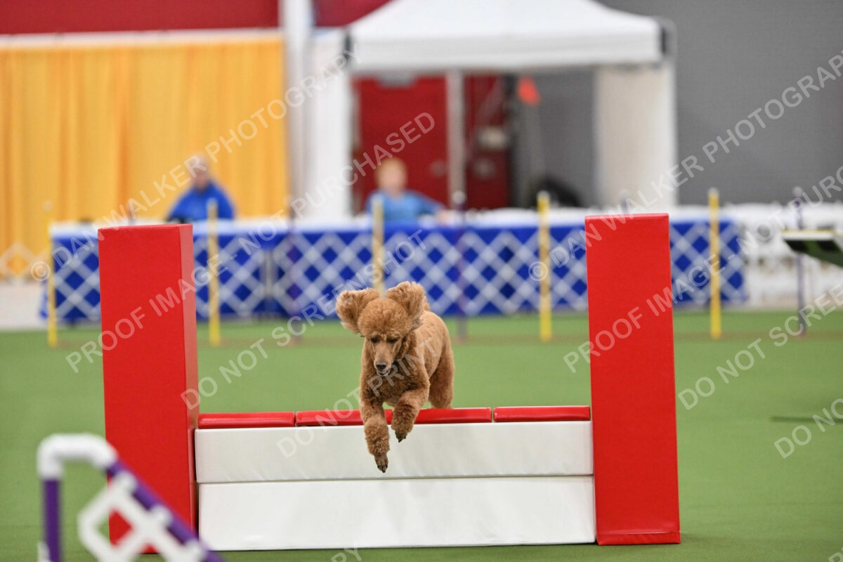 MAS-EX-STD-20-Inch_7378