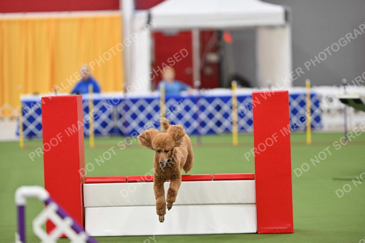 MAS-EX-STD-20-Inch_7379