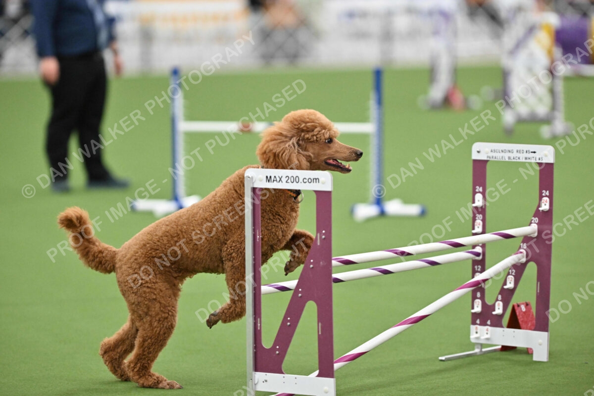 MAS-EX-STD-20-Inch_7381