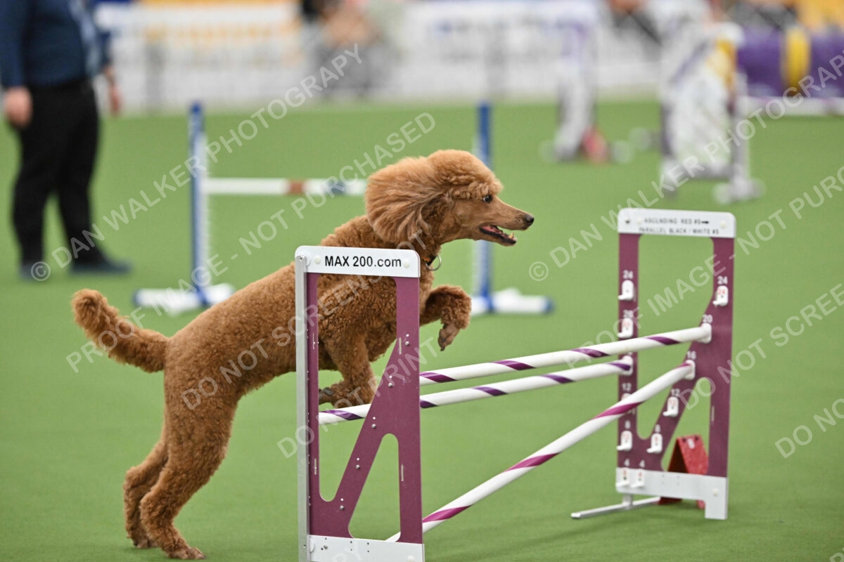 MAS-EX-STD-20-Inch_7382