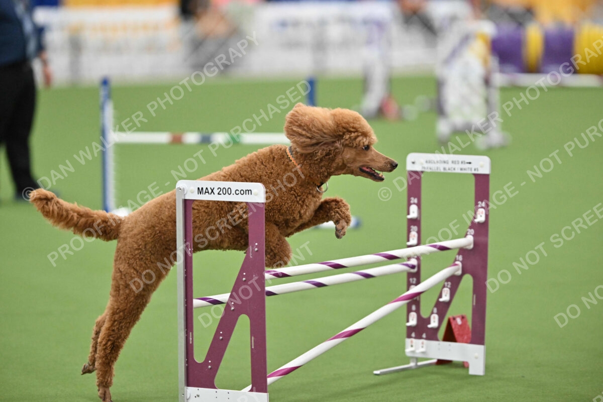 MAS-EX-STD-20-Inch_7383