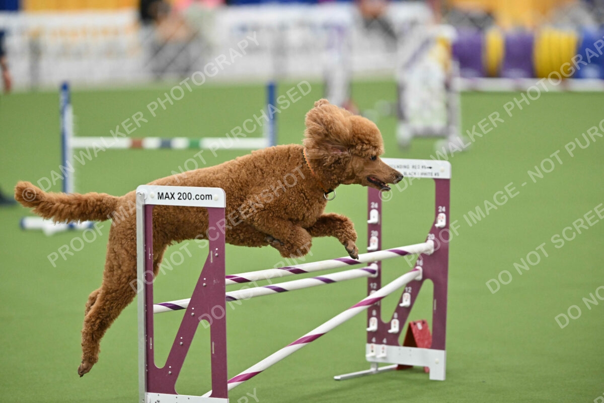 MAS-EX-STD-20-Inch_7384