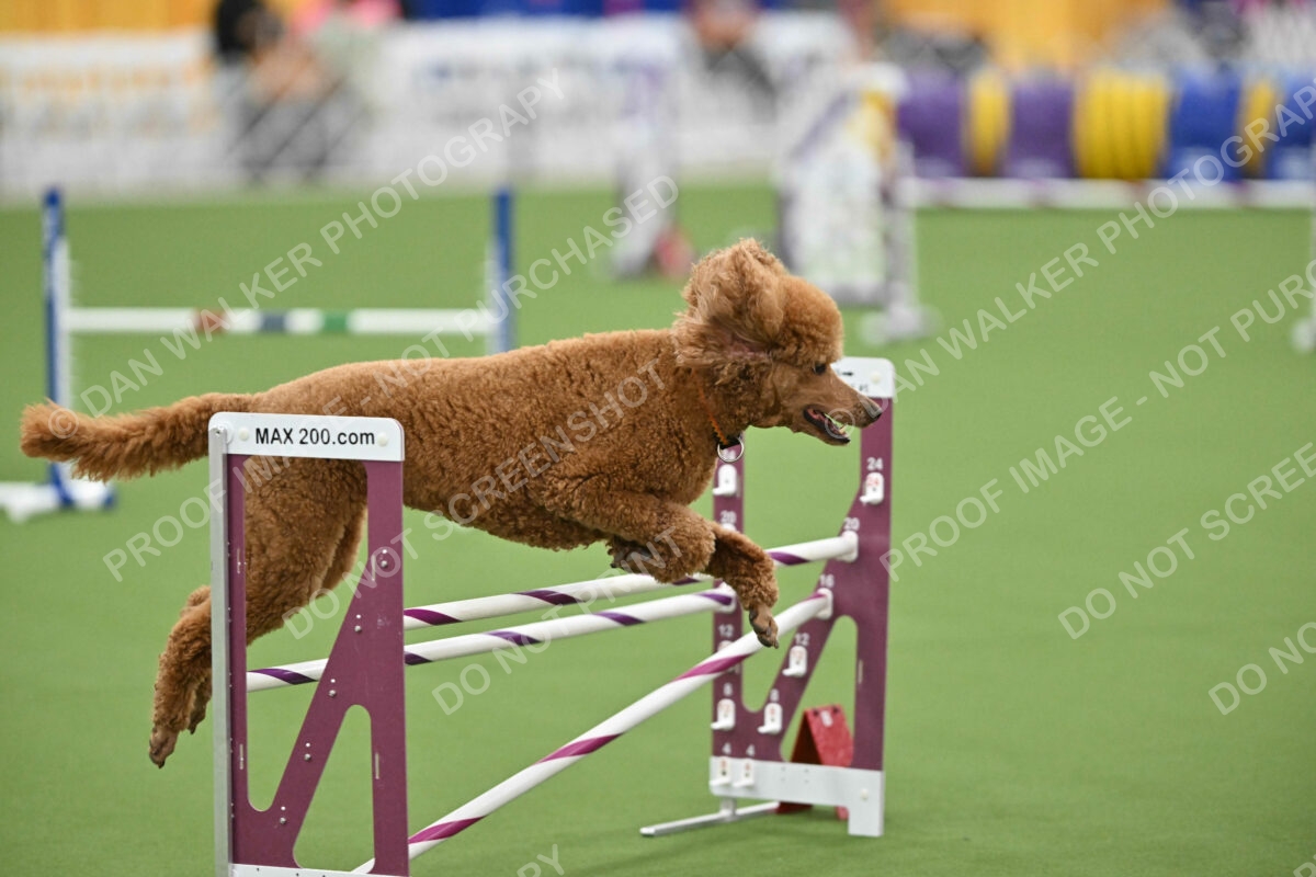 MAS-EX-STD-20-Inch_7385