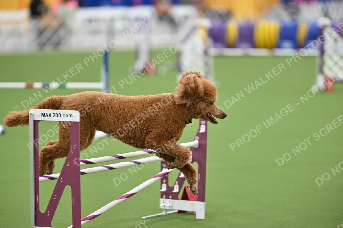 MAS-EX-STD-20-Inch_7386