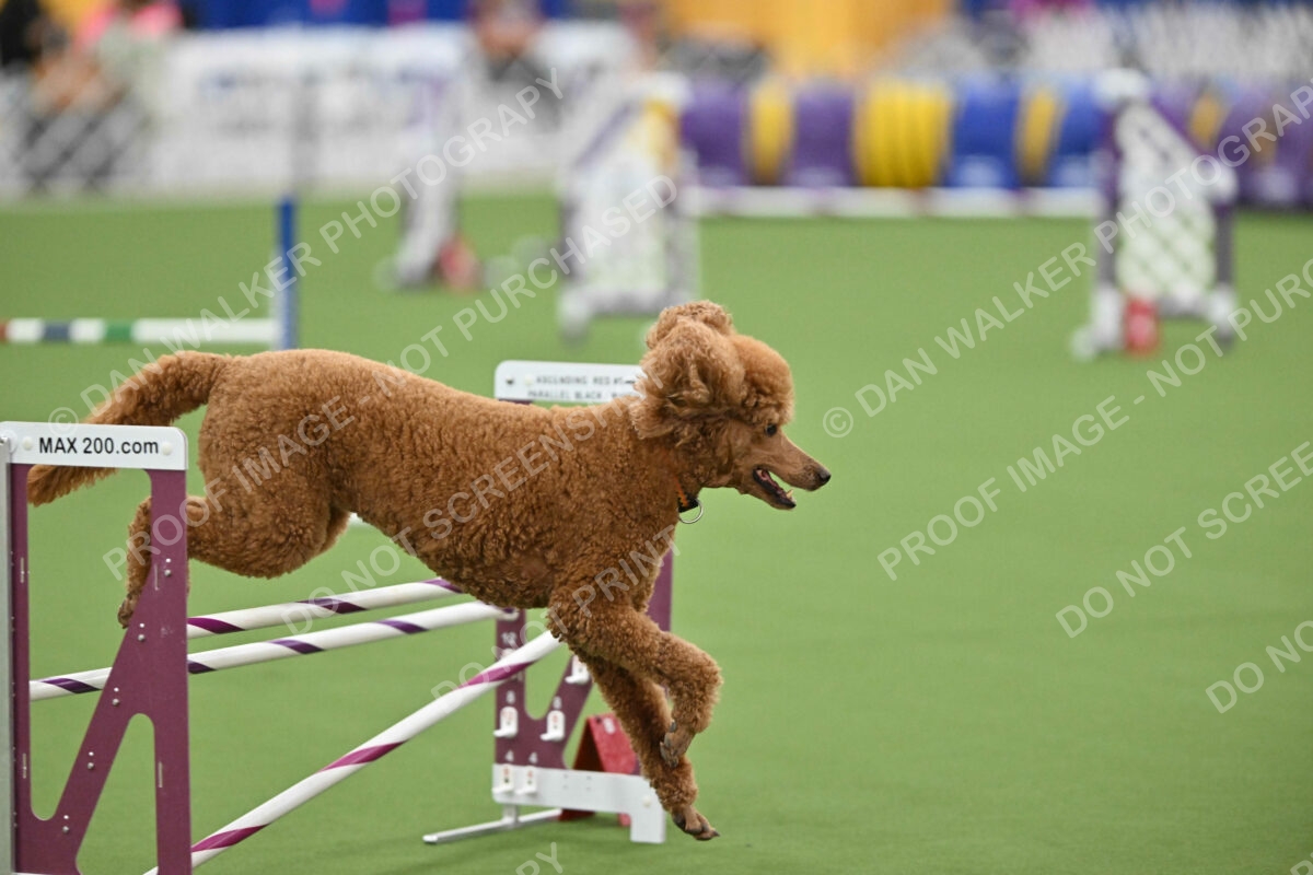 MAS-EX-STD-20-Inch_7387