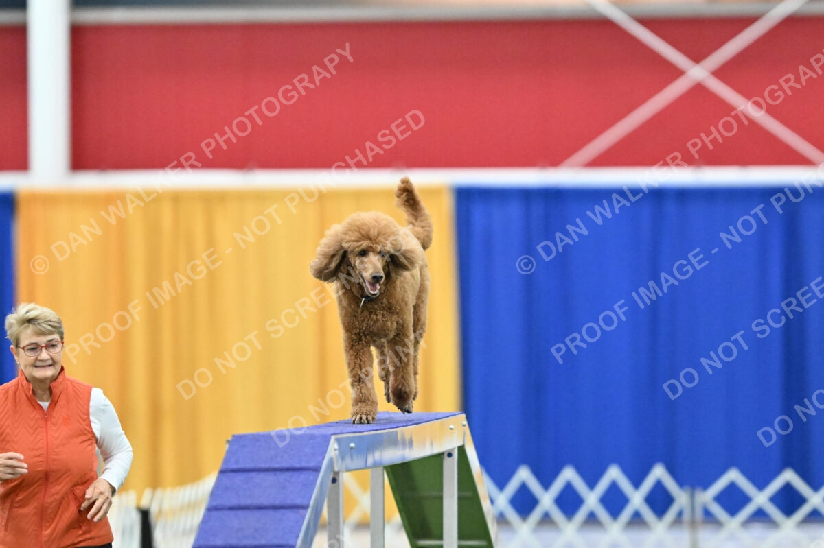 MAS-EX-STD-20-Inch_7388