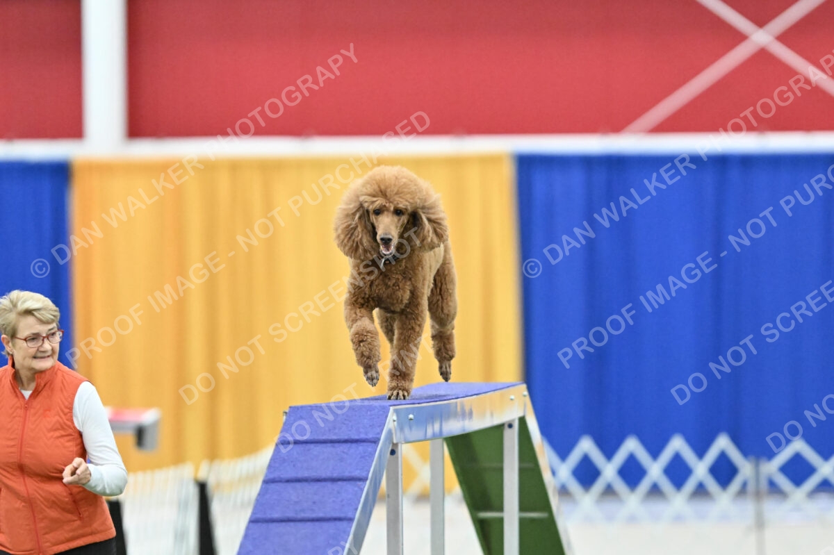 MAS-EX-STD-20-Inch_7391