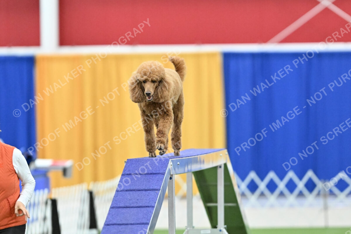 MAS-EX-STD-20-Inch_7395