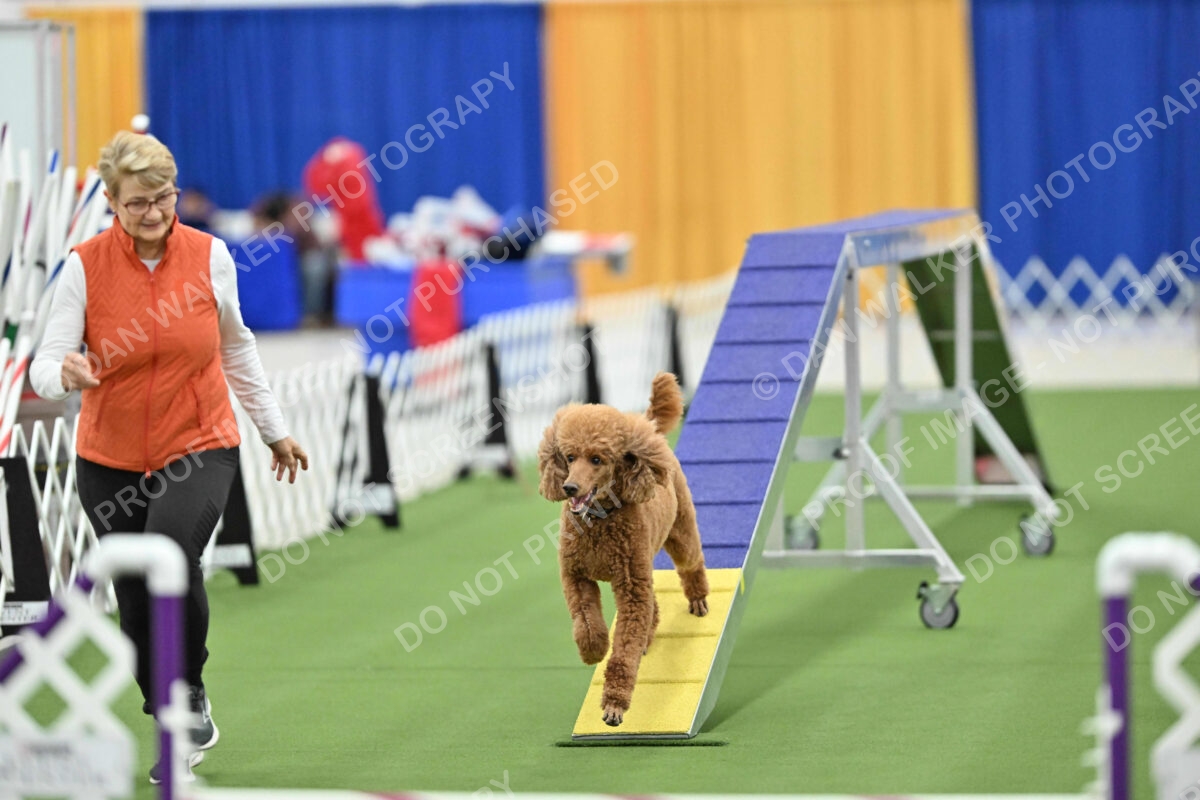 MAS-EX-STD-20-Inch_7396