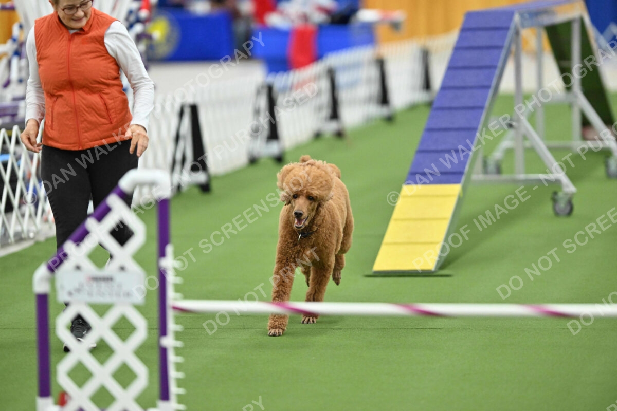 MAS-EX-STD-20-Inch_7401