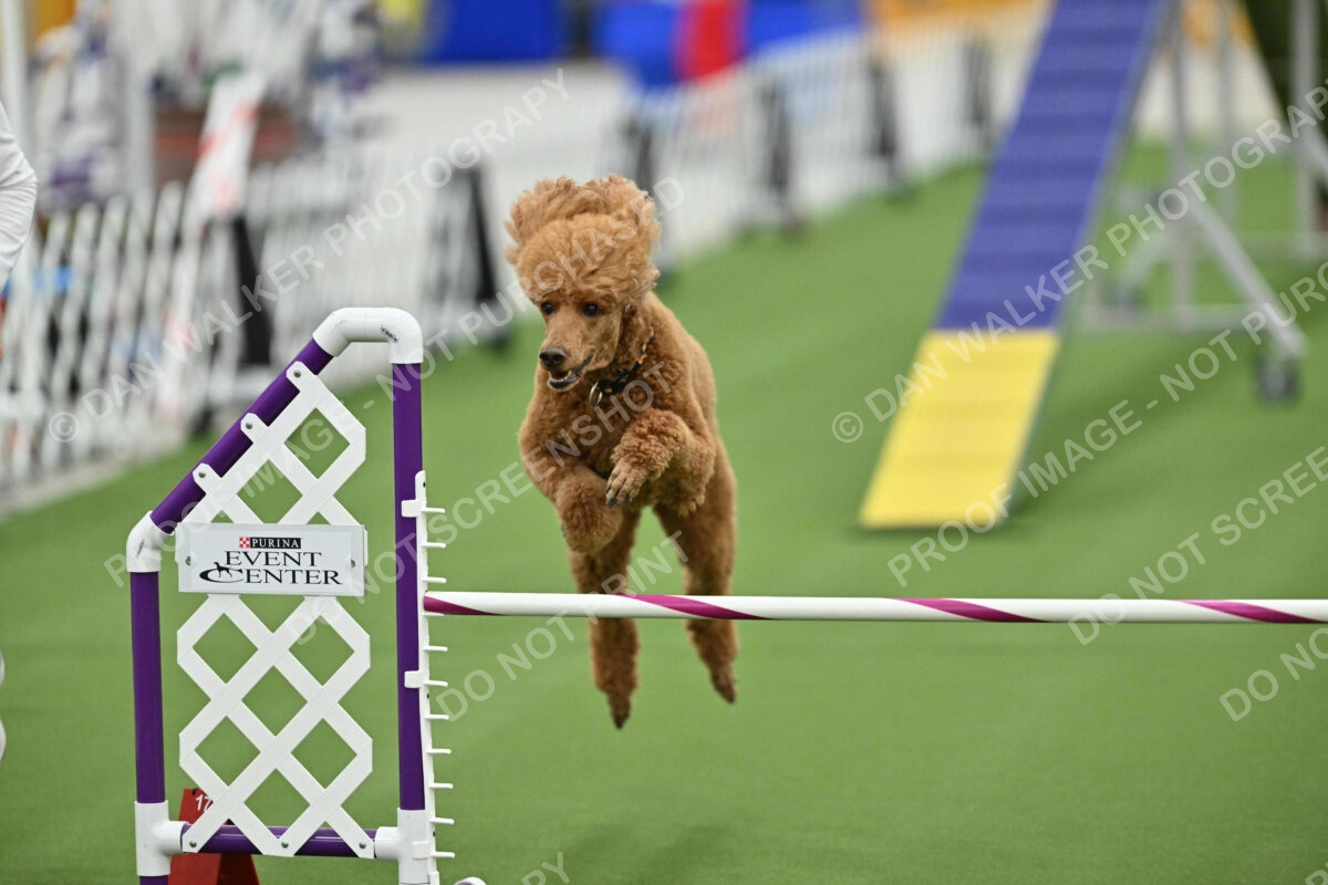 MAS-EX-STD-20-Inch_7408