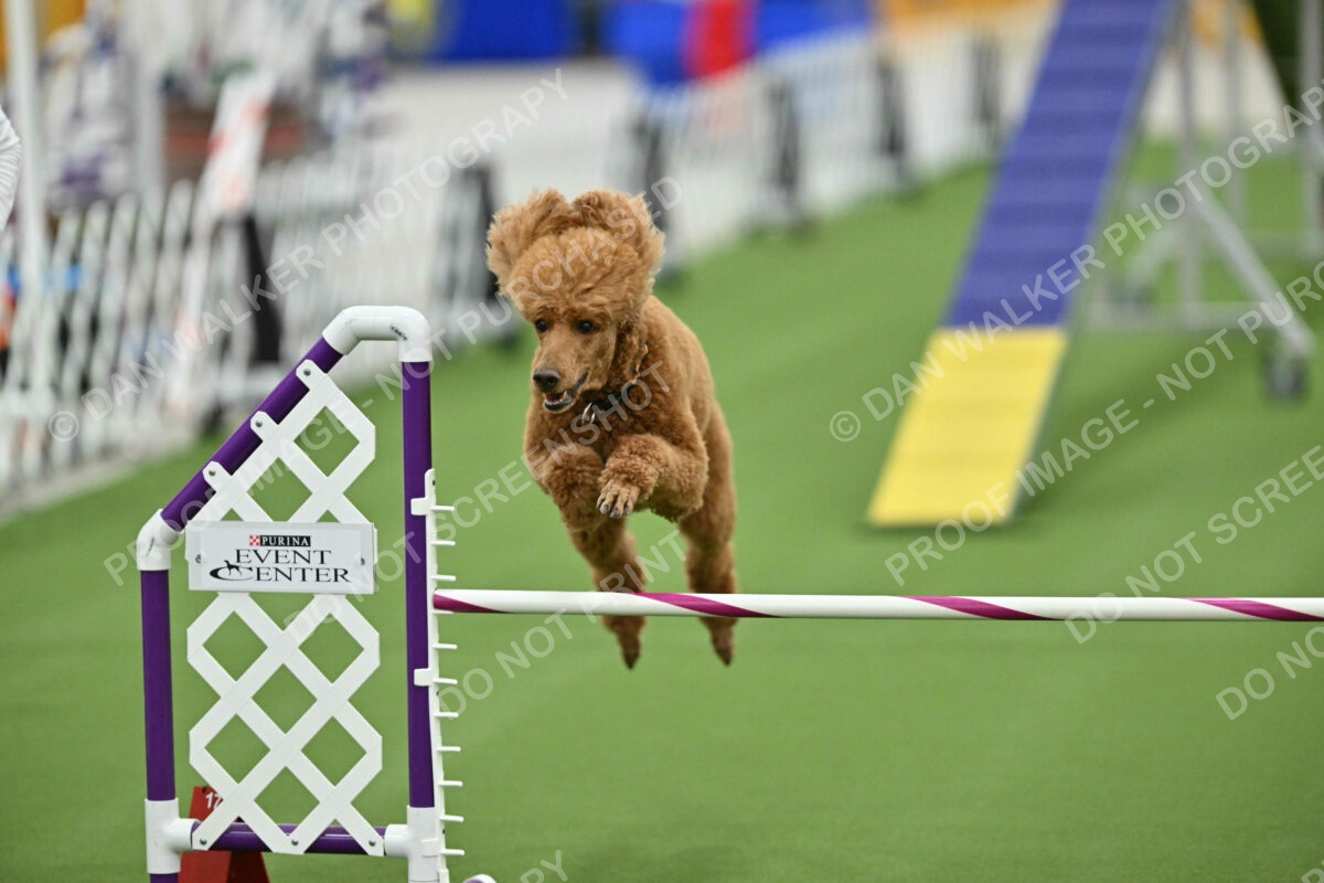 MAS-EX-STD-20-Inch_7409