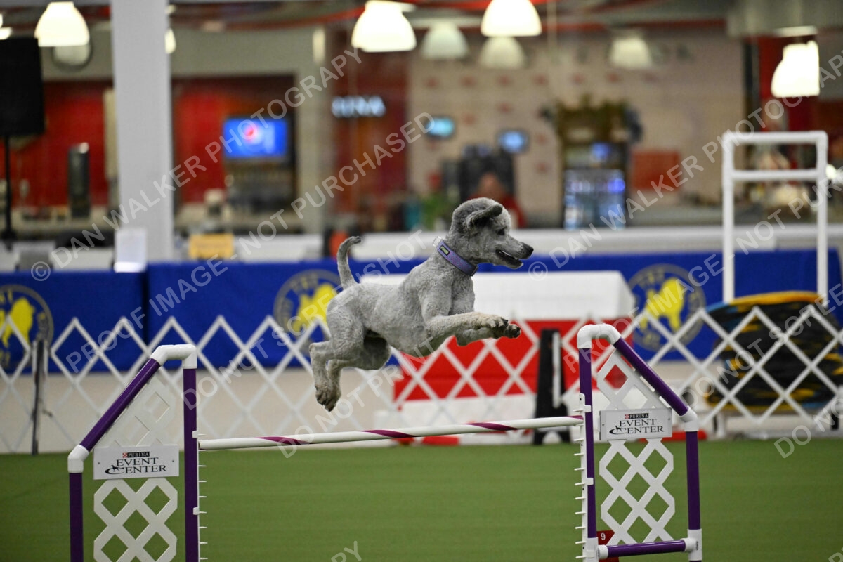 OPEN-JWW-ALL_4251