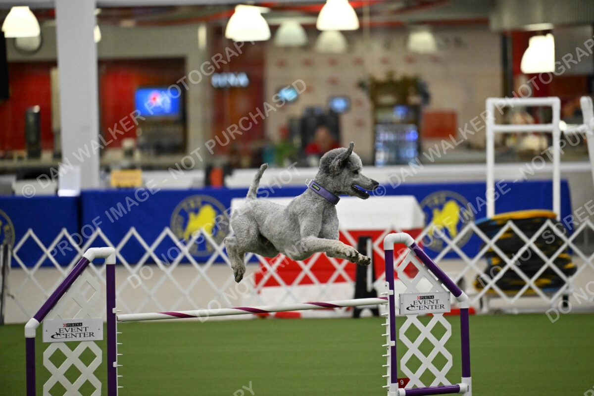 OPEN-JWW-ALL_4252