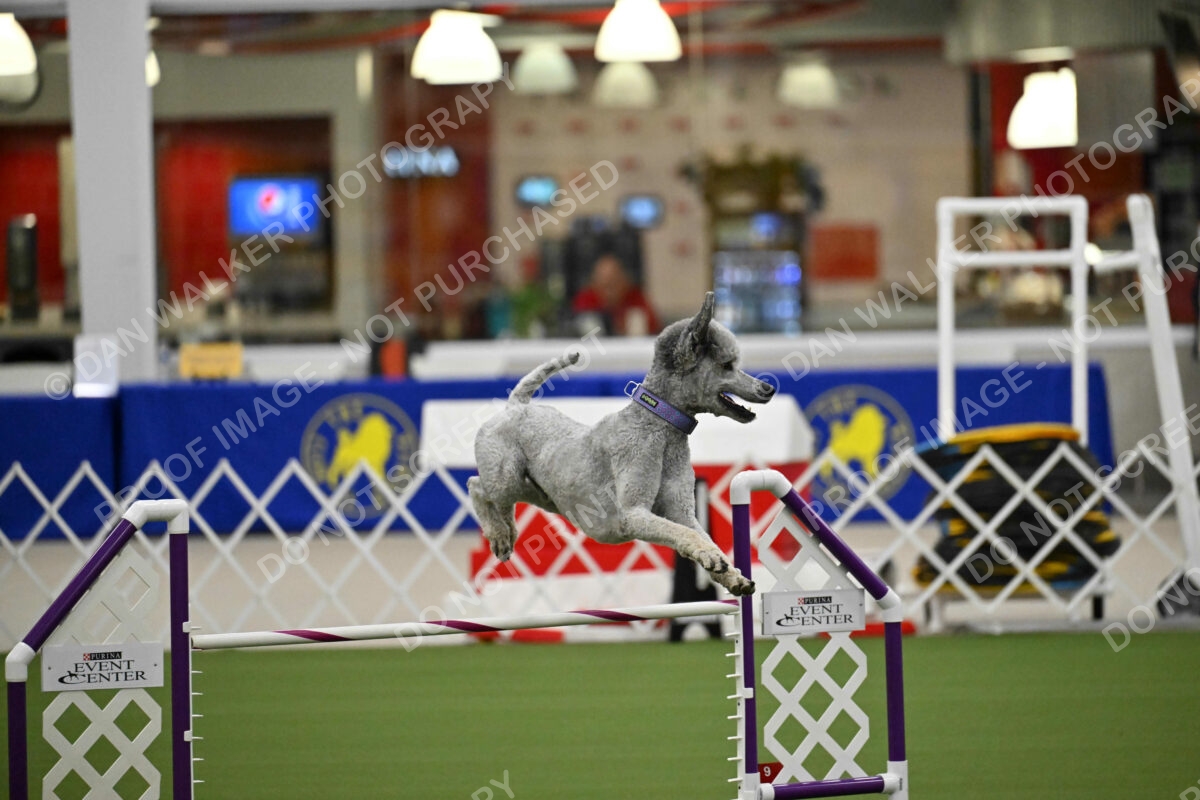 OPEN-JWW-ALL_4253