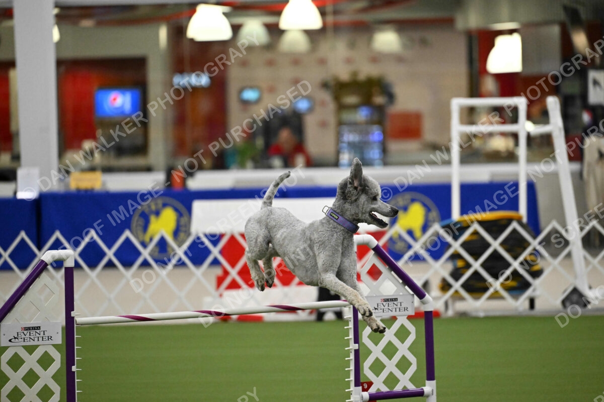 OPEN-JWW-ALL_4254