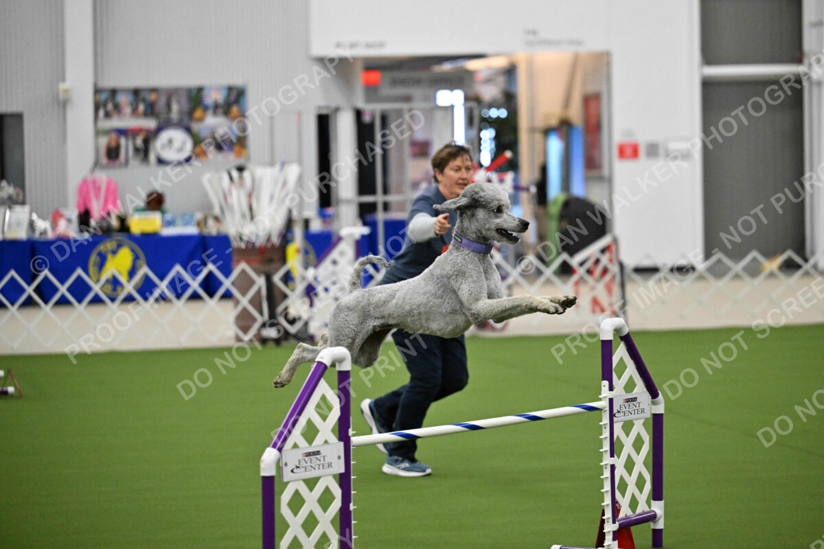 OPEN-JWW-ALL_4256