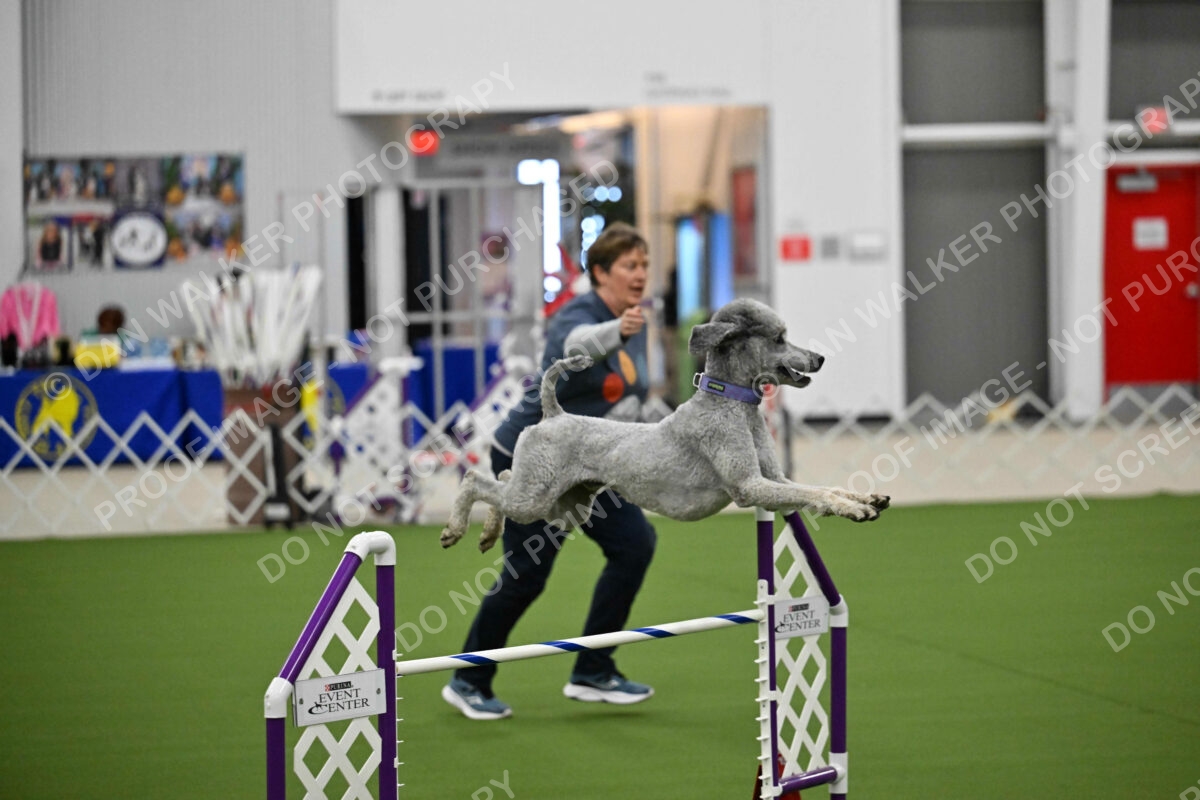 OPEN-JWW-ALL_4258