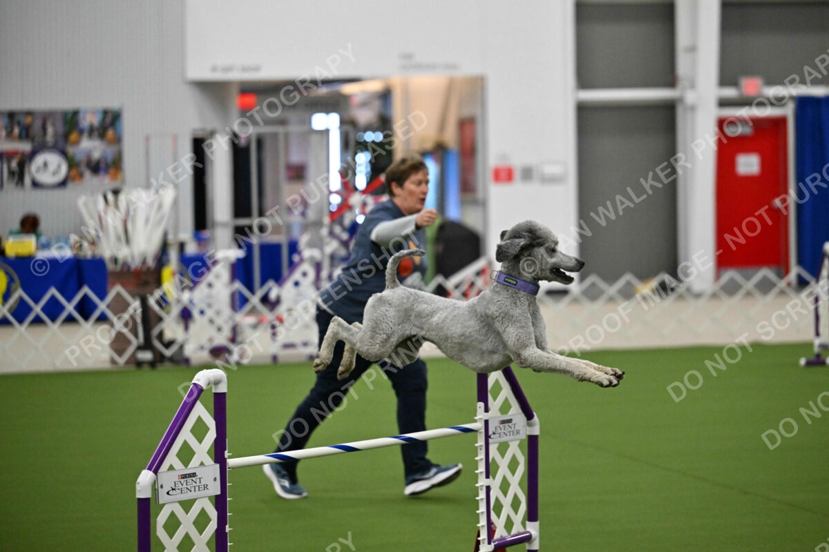 OPEN-JWW-ALL_4259